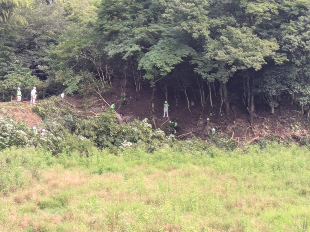 兵庫県 公共施設愛護活動として佐津川での河川雑木伐採に参加しました。